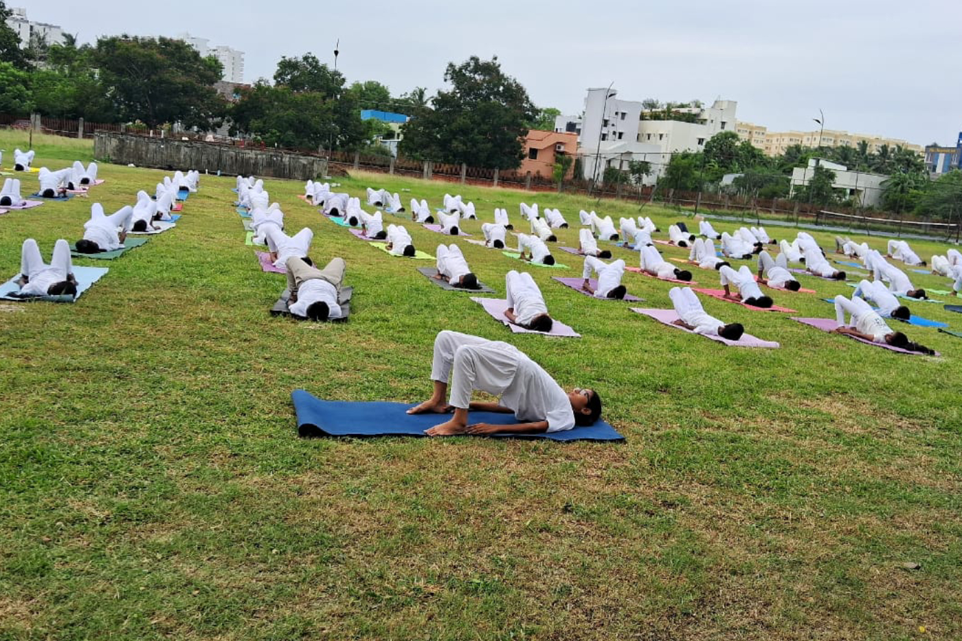 International Yoga Day 2025